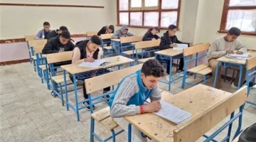 رابط رسمي.. نتائج سنوات النقل في الجيزة تظهر اليوم